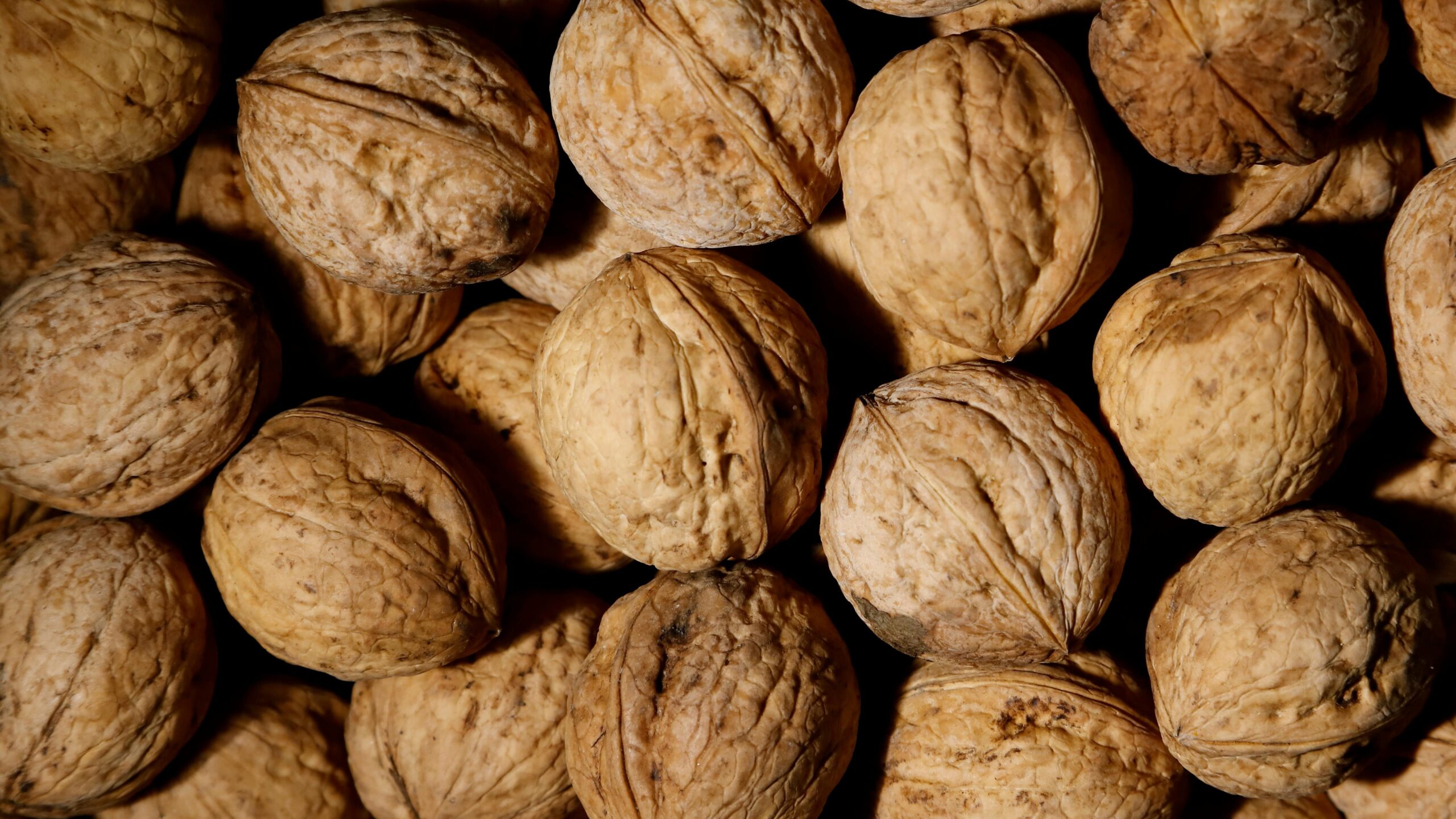 omega 3 noci edited scaled Anti-Inflammatory Nutrition