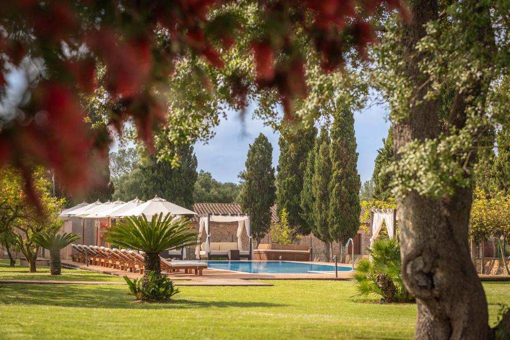 retreat palma di maiorca Pilates a Palma di Maiorca